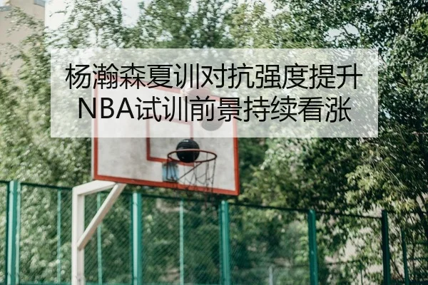 杨瀚森夏训对抗强度提升 NBA试训前景持续看涨