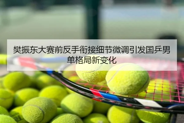 樊振东大赛前反手衔接细节微调引发国乒男单格局新变化
